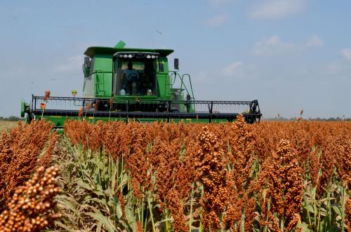 Adeudan A Campesinos De Tamaulipas Millones De Pesos