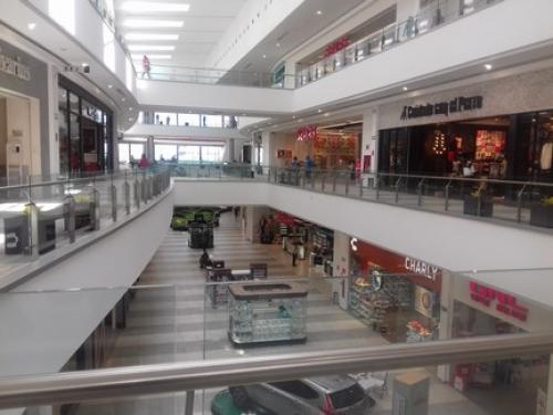 Piden a ALTAMA actualizar protocolos de seguridad para que sepan cómo actuar en caso de situación de riesgo