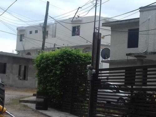 Más de 100 familias afectadas por plagas de termitas en la Nuevo Aeropuerto