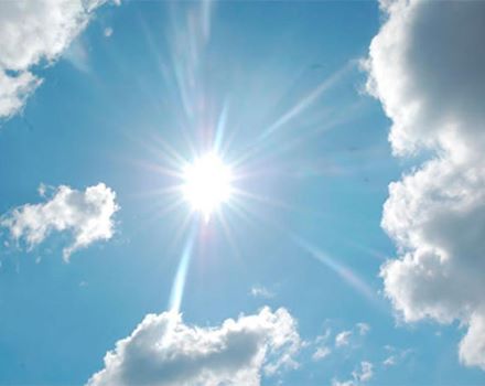 Piden en el Imss no exponerse mucho a los rayos solares