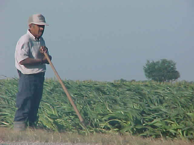 Helada, acaba con plagas y lluvias beneficia al agro
