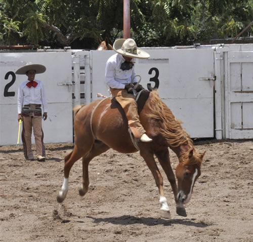 Invita Municipio al Sexto Torneo Charro
