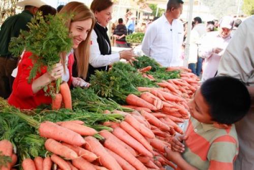 Continua llegando a las familias de Tamaulipas el Tianguis Alimentario