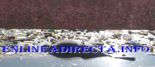 Encuentran cadáver en las aguas del canal Rodhe