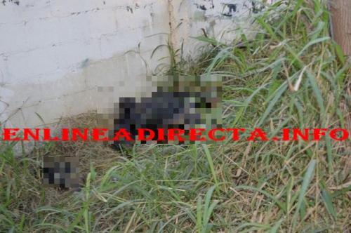 Encuentran cuerpo sin vida de una persona sobre la lateral de un rio