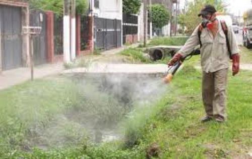 Programan fumigación contra el dengue en las colonias de Matamoros
