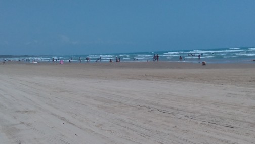 API Altamira promueve conservación de la Tortuga Lora