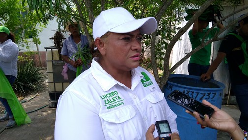 œJamás declinare a favor de otro candidato, mi campaña termina a las seis de la tarde del uno de julio, Lucero Zaleta del Partido Verde en Altamira.
