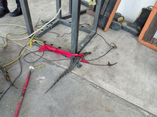 Bomberos Madero captura 12 cocodrilos en dos meses