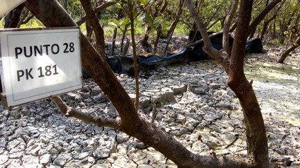 Trabajos del gasoducto Texas Tuxpan de Trans Canada ocasionan daño irreversible al ecosistema