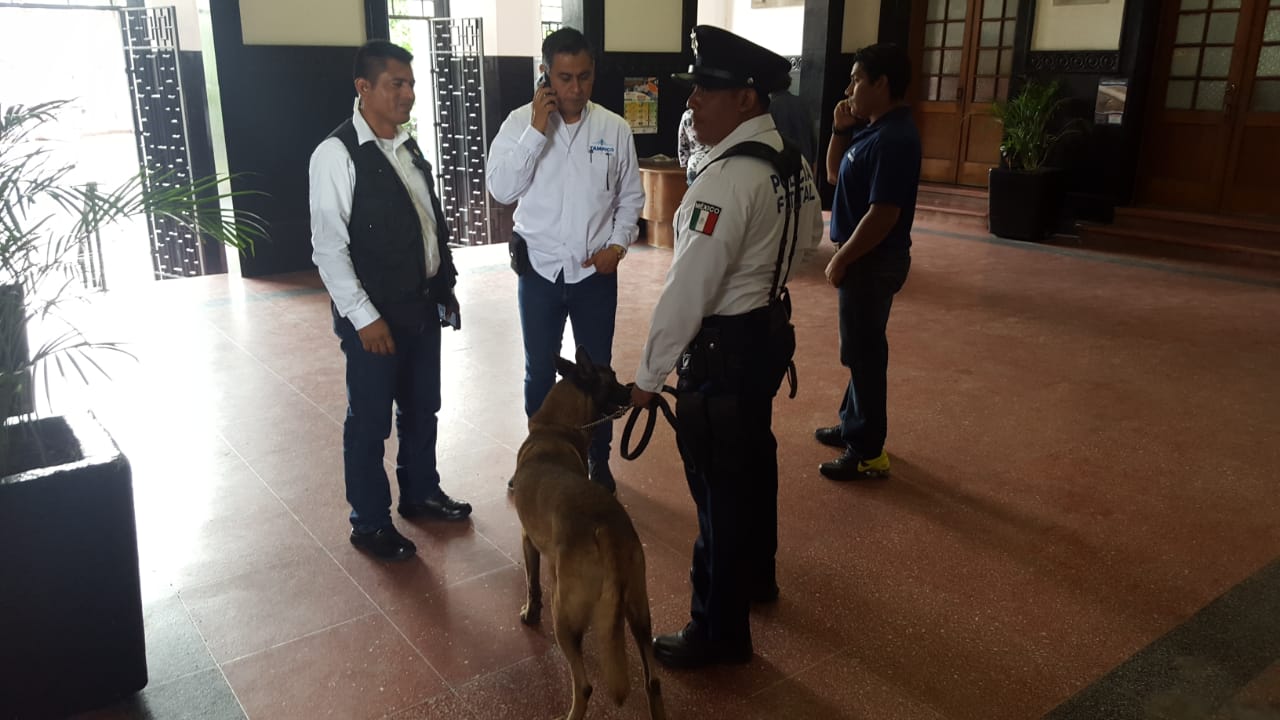 Con binomio canino revisan instalaciones de Palacio Municipal de Tampico