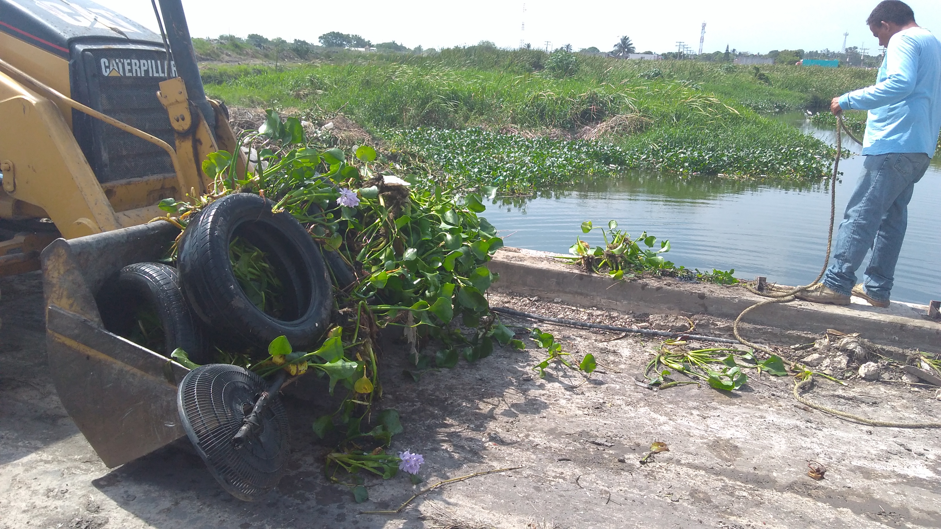 Bajo resguardo más de 1 millón de llantas en un predio en Altamira
