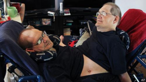 Siameses estadounidenses logran un hito de longevidad