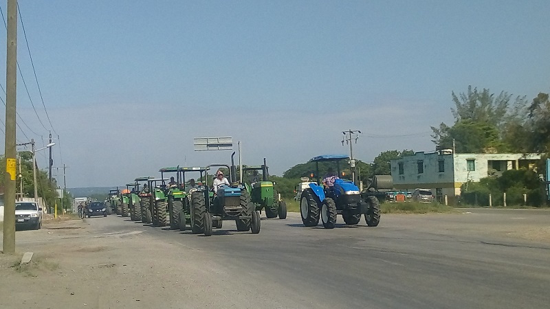 Confían campesinos sacar adelante producción de sorgo