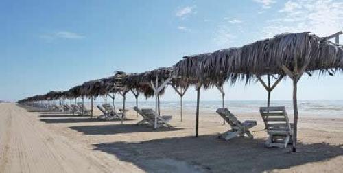 En Alerta Autoridades Municipales y de Salud por fenómeno Marea Roja en costas del Golfo de México