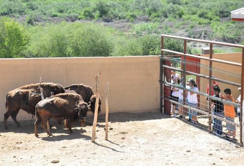 Se divierten familias con campamento de verano en Zoológico Regional