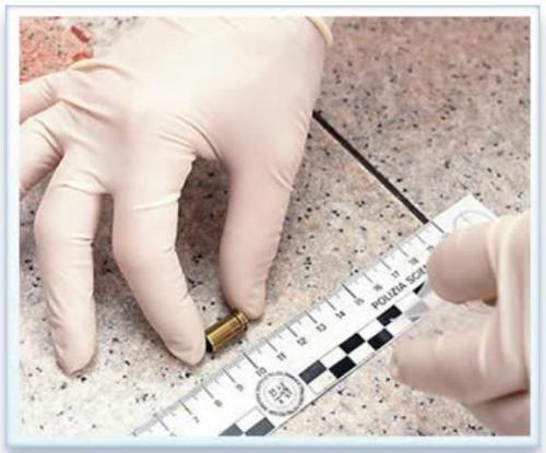 Elevan los niveles de capacitación y profesionalización en PGR