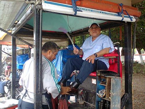 Necesario fumigar la Plaza Principal de Matamoros