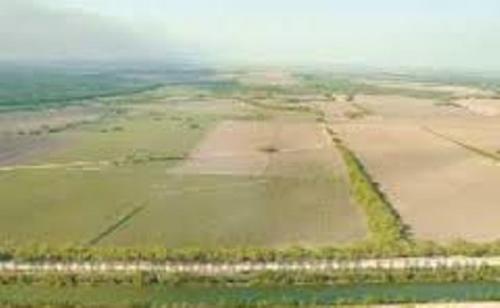 Ejidatarios reportan caída de 4 pulgadas de lluvia en zona de temporal