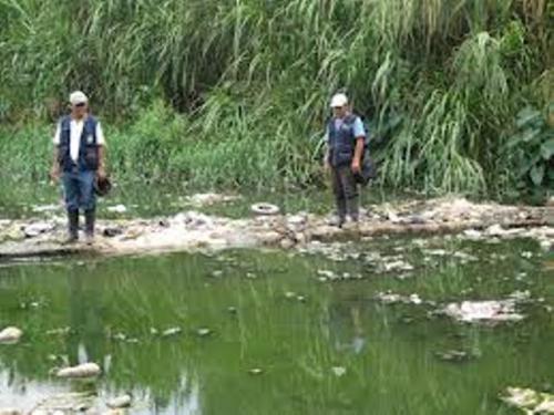 Autorizan 10 plazas en vectores para fumigación