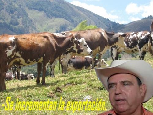 Remonta la actividad ganadera en Tamaulipas