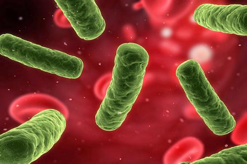 Infecciones por hongos no se diagnostican oportunamente