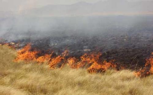Trabaja el Departamento de Bomberos con el 60% de unidades