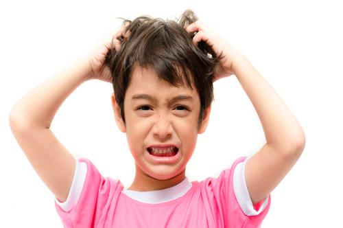 El contagio de piojos y liendres en los niños aumenta durante el invierno.