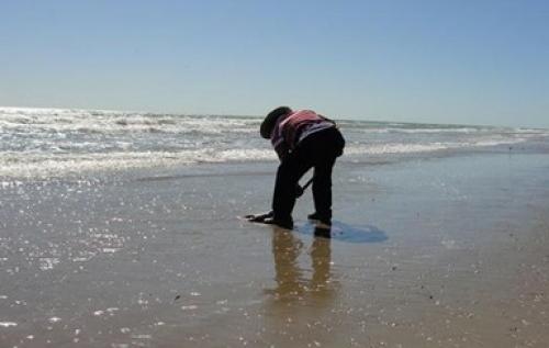 Brownsville y Matamoros limpian sus playas