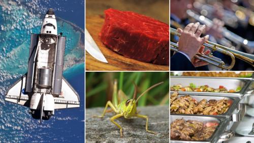 Algas, insectos y carne de laboratorio: los alimentos del futuro