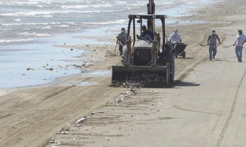 Con todo y marea roja Playa Bagdad sigue abierta