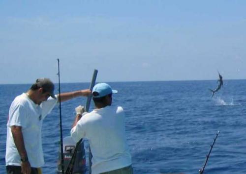 25 zonas de la División Golfo Norte del SUTERM visitarán Matamoros