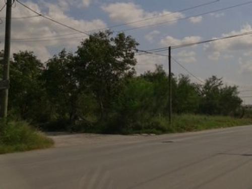 Vecinos solicitan desmonte de terrenos baldíos