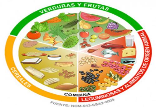 Plato del buen comer, importante en nutrición de la población