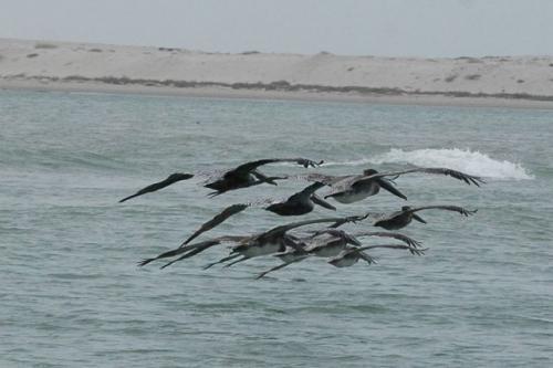 Se preparan autoridades para Semana Santa y el Motomoros