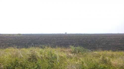 Sequía pulveriza economía del sector agrícola y ganadero