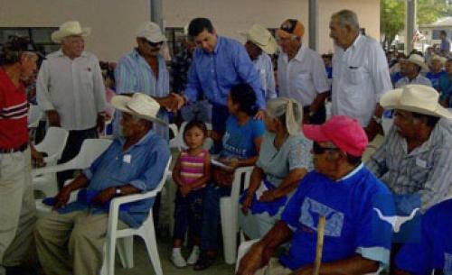 Con paso firme rumbo al Senado