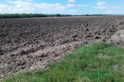 Hay preocupación en el campo