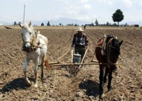La próxima semana se reunirá el Comité Hidráulico para ver cuánta agua tenemos