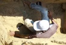 Descubren una ofrenda con 11 cocodrilos de más de 2.000 años en Egipto