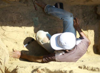 Descubren una ofrenda con 11 cocodrilos de más de 2.000 años en Egipto