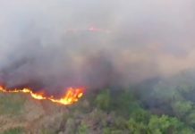 Bomberos sofocan incendio en pastizal