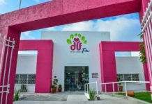 En la pandemia 288 mujeres y 130 hombres fueron maltratados en el hogar