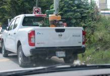 DIF gestiona cubrir más colonias en fumigación
