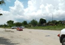 Piden limpieza de derechos de vía de Pemex por presencia de alimañas