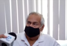 Lluvias disminuyen presencia de abejas en Madero