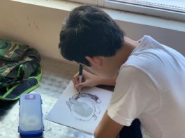 Impartirá Cultura Tampico talleres artísticos en línea