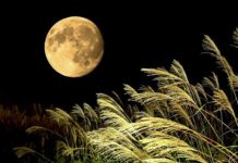 En Septiembre se podrá observar “La Luna de Maíz”