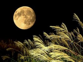 En Septiembre se podrá observar “La Luna de Maíz”