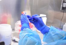 Diagnostican 191 nuevos casos de COVID-19 en Tamaulipas, no bajen la guardia, insiste SST